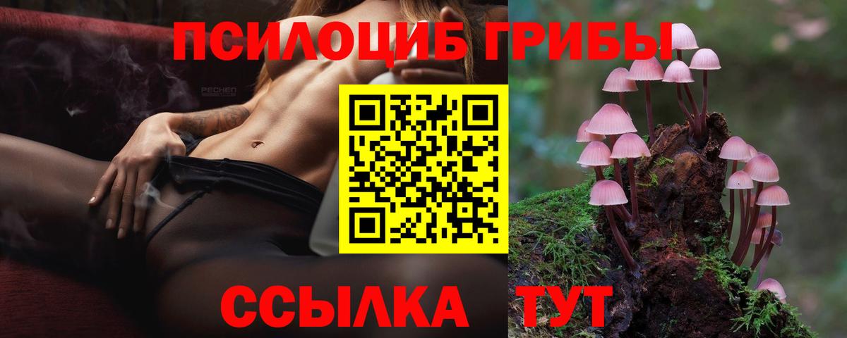 Галлюциногенные грибы Psilocybine cubensis  Вход с VPN  Азнакаево 